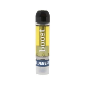 THC Boost Disposable Vape Pen 1gm
